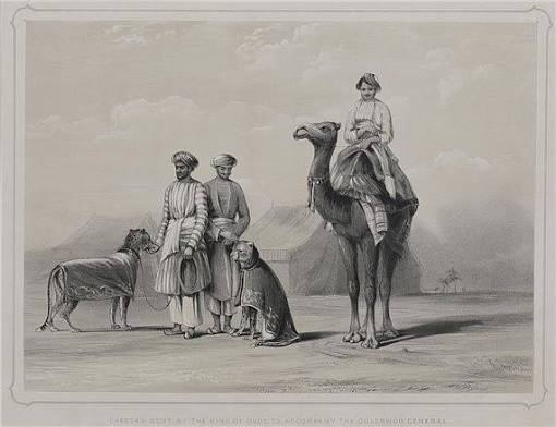 Emily Eden | 4 Works: Cheetas sent by the King of Oude to accompany the Governor General (plate 15); Dhulloo and Dedar Khan (Jemadars or head servants) (plate 4); The Raja of