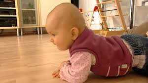 Viele babys beginnen, sobald sie alleine sitzen können, zu krabbeln. Greifen Krabbeln Sitzen Babys Erstes Lebensjahr Schulfernsehen Ard Alpha Fernsehen Br De