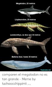 They were initially discovered when alfred nicholson leeds discovered a lot of different fish fossils in his loam pits during the 1880s. 25 Best Memes About Leedsichthys Leedsichthys Memes