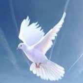 Obituary information for Deanna Johnson Menard