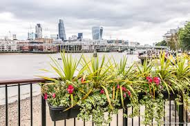 Whether you're opening a checking account, want help with investments strategies, need a loan or want to bank online, for both individuals and businesses. South Bank Guide Best Things To Do On The South Bank In London