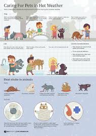 Caring For Pets In Hot Weather Visit Our New Infographic Gallery At Http Visualoop Com Pet Safety Pets Dog Care
