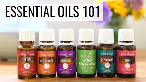 Image result for Essential Oils