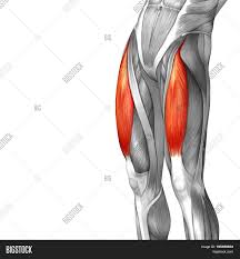 Constant burning pain in the inside of the thigh. Concept Conceptual 3d Image Photo Free Trial Bigstock