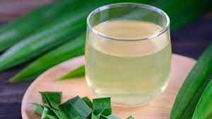 Tanaman ini secara abadi memiliki cluster semak yang berbentuk kipas panjang, dengan daun yang. 5 Manfaat Rutin Minum Air Rebusan Daun Pandan Tiap Hari Khasiatnya Luar Biasa Serambi Indonesia