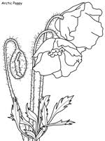 We wanted to share some educational information we learned about texas. Flowers Coloring Pages