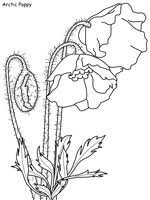 See more ideas about coloring pages, grass, online coloring. Arctic Tundra Plant Coloring Pages