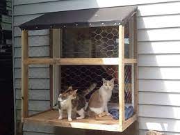 I felt so bad for my indoor cats and finally decided to build them their own easy diy cat enclosure to i started with the small enclosure around the living room window. Cat Window Box Cat Solarium Cat Window Sill Perch Balcony Decoration Eco Friendly Garden Ideas