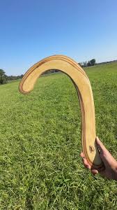 Bildergebnis für Roman Schramm