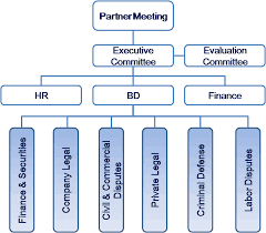 Org Chart About Us Guangdong Renhao Law Firm