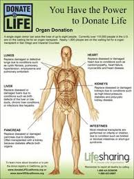 Donating an organ takes a lot of balls and most of the time, people will joke about selling your organs to buy something very expensive. 300 Donate Life Ideas Donate Life Organ Donation Donate