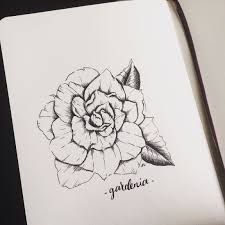 Flower Art Ink Drawing Gardenia Illustration Flower Prints Art Flower Art Flower Tattoo Drawings