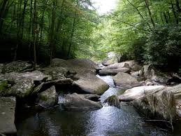 Boone fork trail is 5.2 miles loop trail that features river, views, waterfall and widlife. Boone Fork Price Lake Hike