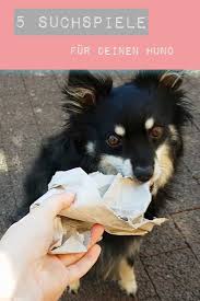5 Suchspiel Ideen Fur Deinen Hund Mit Dogreform Vollwert Zucker Und Zimt Design Hunde Such Spiele Hundespielplatz