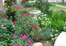 Addressing A Myth About Florida Friendly Landscaping Villages News Com · 0 ratings · 0 reviews.
