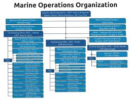 marine operations organizational chart jpg office of