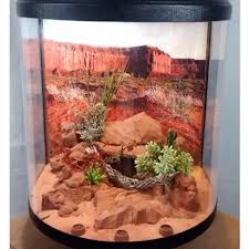 Image result for Terrarium Cling Background