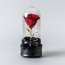When is it okay and not weird to buy flowers for a girl? 3 Reasons Why She Ll Love This Preserved Rose Apollo Box Blog