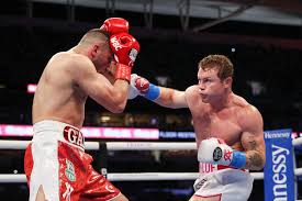 Saul alvarez defeated avni yildirim via retirement at 3:00, round 3. Alvarez Stops Avni Yildirim To Defend Super Middleweight Title Daily Sabah