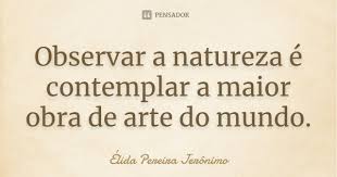 Observar A Natureza E Contemplar A Elida Pereira Jeronimo