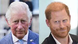 Yarra Climate Emergency Plan: Proposal to 'discourage car ownership'