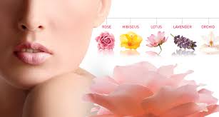 What flower is for healing. The Healing Power Of Flowers Newbeauty