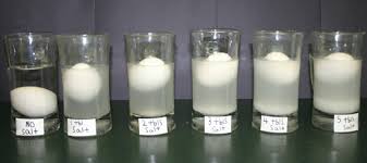 kids science fair projects