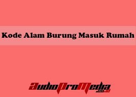 Facebook gives people the power to share. Kode Alam Burung Masuk Rumah 2d 3d 4d Menurut Buku Erek Erek