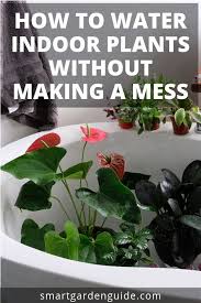 How To Water Indoor Plants Without Making A Mess Great Tips For Watering Your Houseplants To Avoid Ruining Floo Indoor Plants Plants Indoor Gardening Supplies
