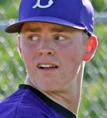 Battlefield's Sammy Michel strikes out 15 in win over Gainesville