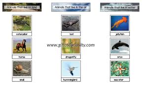 Sorting Animals That Live On Land Air And Water Montessori Printable Geography Lessons Animal Printables Animals