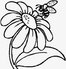 These lovely plants, with their unique greenery and vibrant flowers, grow well in containers or as ground cover around vegetable gardens. Bee On Flower Drawing At Paintingvalley Com Explore Collection Of Bee On Flower Drawing