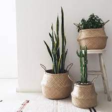 natural seagrass basket plant decor diy macrame pot