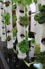 Hydroponic tower vertical system | aeroponic tower vertical farming & how its work peralatan. Make Hydroponic Tower Hydroponics And Aquaponics Tips And Tricks