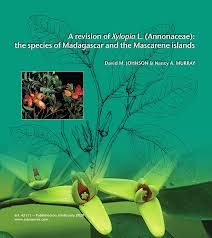 Image result for Xylopia lukei