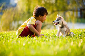 We did not find results for: Stress Relief Adhd Best Pets For Kids