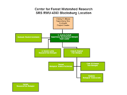 Team Organization Center For Forest Watershed Research Srs