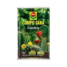 Pasos para hacer un sustrato casero para suculentas. áˆ Mejor Tierra Para Cactus Trucos Y Consejos 2021