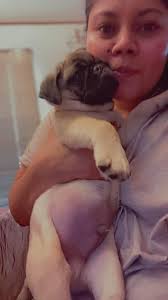 Puppy found out by Longview marina.