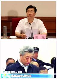 落馬貪官們「一夜白頭」 官媒釋三大原因｜大紀元時報香港｜獨立敢 ...