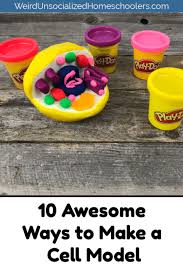 Animal cell 3d model project ideas. 10 Awesome Ways To Make A Cell Model Weird Unsocialized Homeschoolers