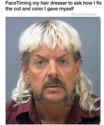 35 Funny Memes For Tiger King Fans Memes Funny Memes Hair Meme