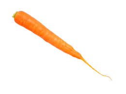 Carrot