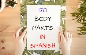 2) sorting plants by method of seed dispersal. Body Parts In Spanish List Of 50 Parts Of The Human Body Blablalang