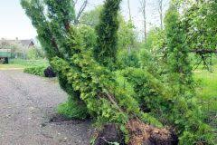 Wann ist der richtige zeitpunkt die hecke zu düngen? Hecken Dungen Wann Wie Viel Und Womit
