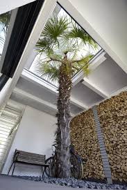 Palme Unter Carport Wunderschon Gestaltet Von Rheingrun Garten Moderner Garten Baumgarten