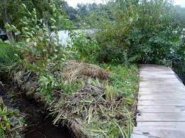 Listen to morast | soundcloud is an audio platform that lets you listen to what you love and share the sounds you create. Arbeit In Sumpf Und Morast Blog Von Anais