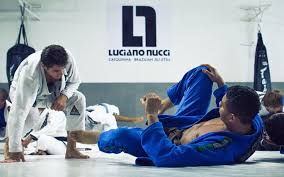 7 steps to a cardio for bjj