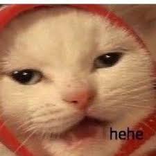 Exceptional Cats Detail Are Readily Available On Our Internet Site Take A Look And You Wont Be Sorry You Did In 2020 Funny Cats Cat Memes Cats
