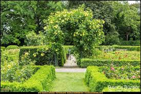 Rosengarten Im Humboldthain Juni 2017 Humboldthain Brunnenviertel Berlin Deutschland Germany Biancabuergerphotography Ig Garten Rosengarten Landschaft
